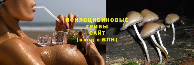 Галлюциногенные грибы Magic Shrooms  блэк спрут ссылки  Аткарск  купить  